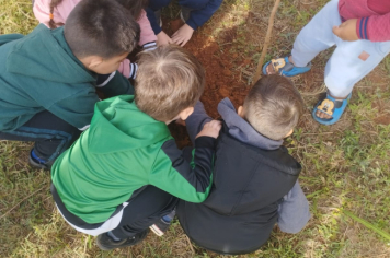 Foto - Prefeitura de Taiúva celebra o Dia Mundial do Meio Ambiente com plantio de árvores nas escolas