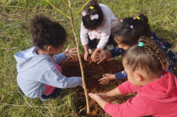 Foto - Prefeitura de Taiúva celebra o Dia Mundial do Meio Ambiente com plantio de árvores nas escolas