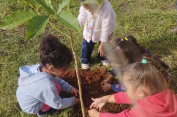 Foto - Prefeitura de Taiúva celebra o Dia Mundial do Meio Ambiente com plantio de árvores nas escolas