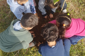 Foto - Prefeitura de Taiúva celebra o Dia Mundial do Meio Ambiente com plantio de árvores nas escolas