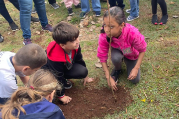 Foto - Prefeitura de Taiúva celebra o Dia Mundial do Meio Ambiente com plantio de árvores nas escolas