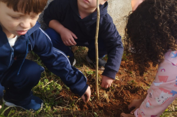 Foto - Prefeitura de Taiúva celebra o Dia Mundial do Meio Ambiente com plantio de árvores nas escolas