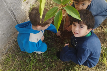 Foto - Prefeitura de Taiúva celebra o Dia Mundial do Meio Ambiente com plantio de árvores nas escolas