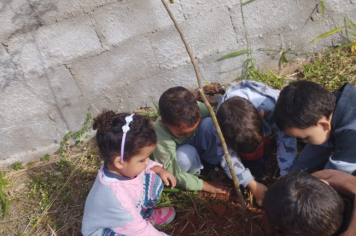 Foto - Prefeitura de Taiúva celebra o Dia Mundial do Meio Ambiente com plantio de árvores nas escolas