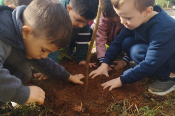 Foto - Prefeitura de Taiúva celebra o Dia Mundial do Meio Ambiente com plantio de árvores nas escolas