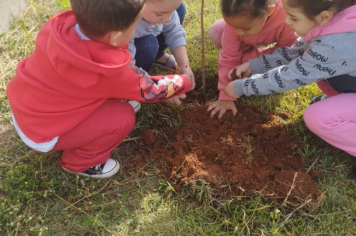 Foto - Prefeitura de Taiúva celebra o Dia Mundial do Meio Ambiente com plantio de árvores nas escolas