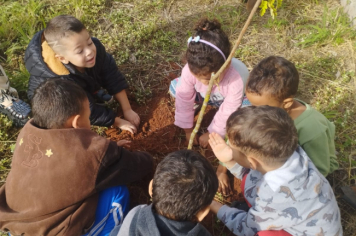 Foto - Prefeitura de Taiúva celebra o Dia Mundial do Meio Ambiente com plantio de árvores nas escolas