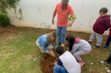 Foto - Prefeitura de Taiúva celebra o Dia Mundial do Meio Ambiente com plantio de árvores nas escolas