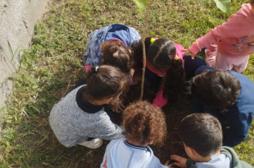 Foto - Prefeitura de Taiúva celebra o Dia Mundial do Meio Ambiente com plantio de árvores nas escolas